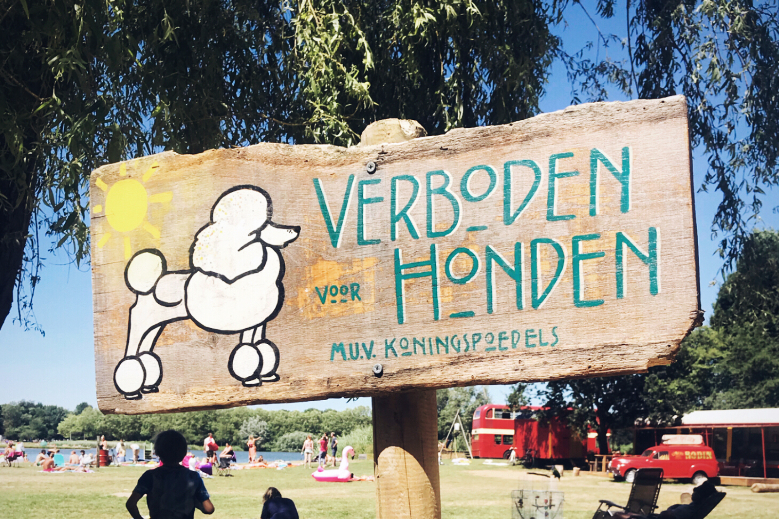 Slapen in een schoolbus bij Kampeerterrein de Lievelinge