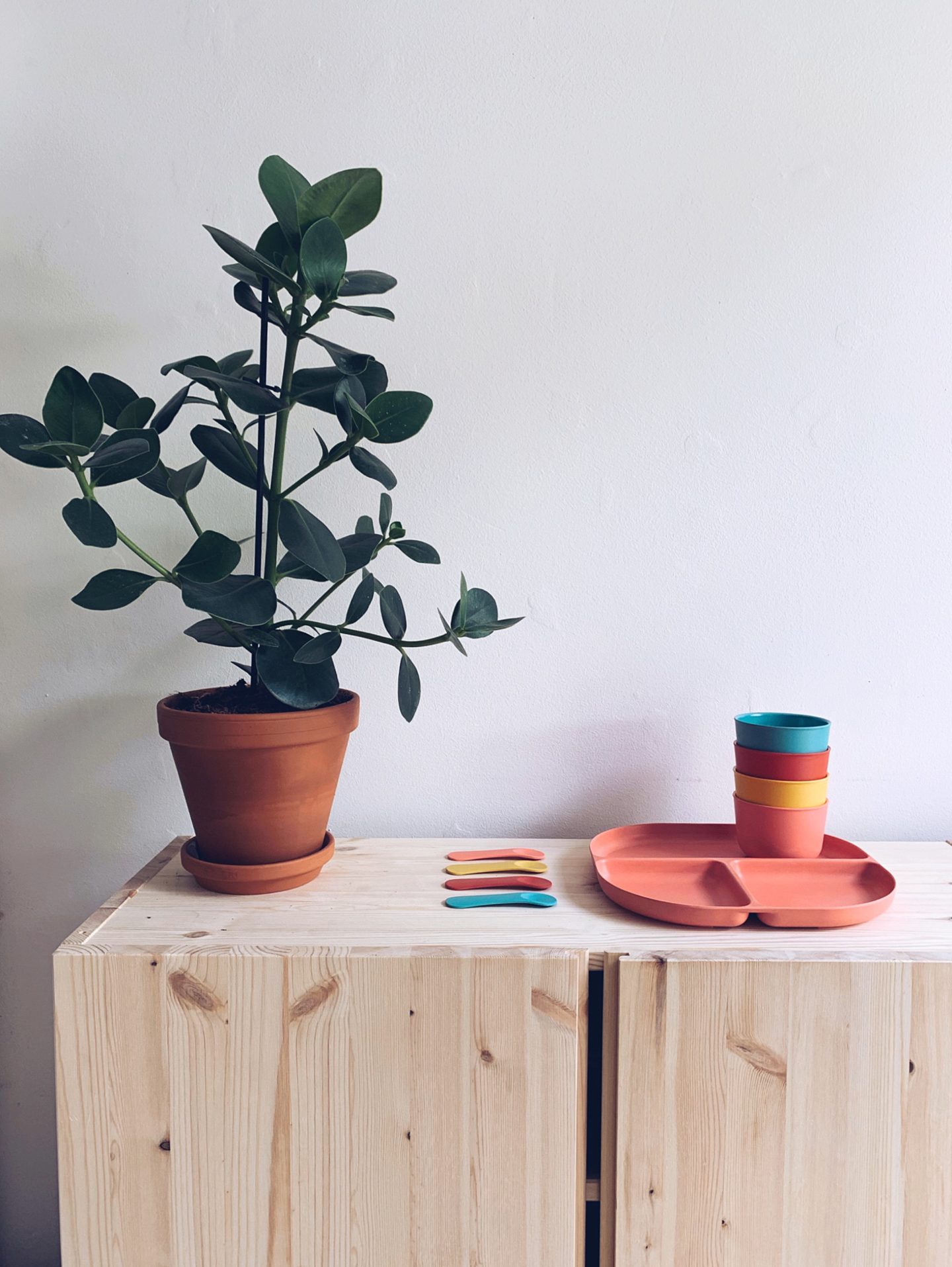 Mooi & Duurzaam: bamboe servies van EKOBO - The things we like